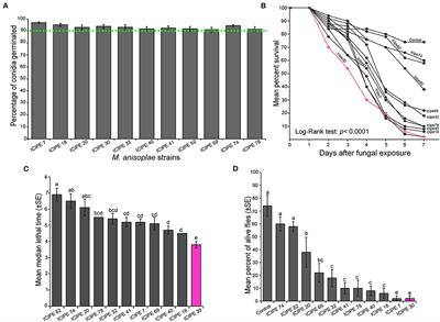 Infection of the Stable Fly, Stomoxys calcitrans, L. 1758 (Diptera: Muscidae) by the Entomopathogenic Fungi Metarhizium anisopliae (Hypocreales: Clavicipitaceae) Negatively Affects Its Survival, Feeding Propensity, Fecundity, Fertility, and Fitness Parameters